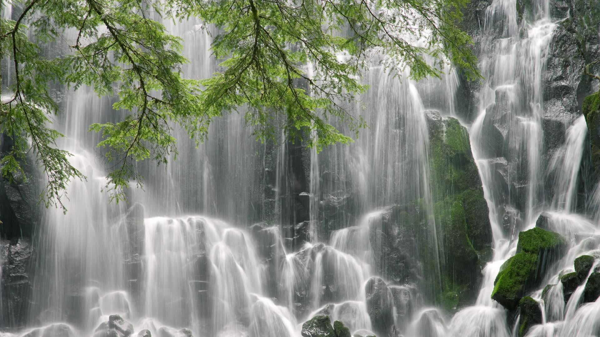 世界体操公开赛:新组合呈现艺术与力量并重,世界体操锦标赛冠军